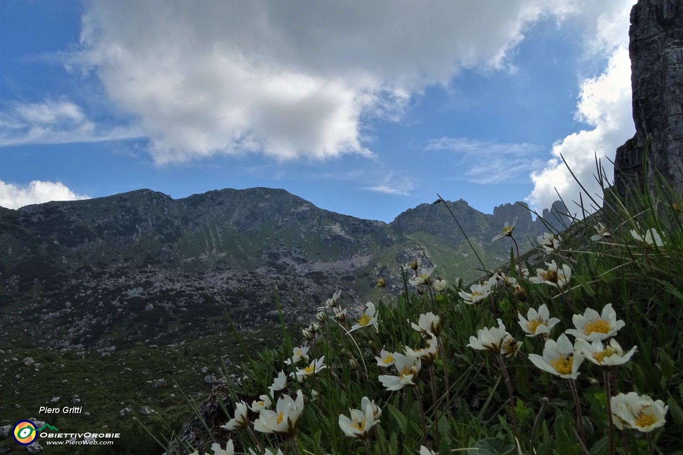 29 Vista in Corna Grande con  fioriture di camedrio alpino (Dryas octopetala).JPG